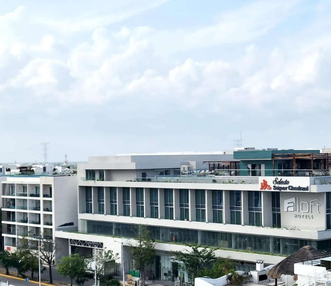 Stylish Condo With Roof Top Ocean Views Near Mamitas Beach And 5Th Ave Πλάγια Ντελ Κάρμεν